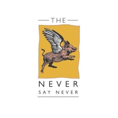 18/7/26 Jump Right In at Never Say Never Hildenborough