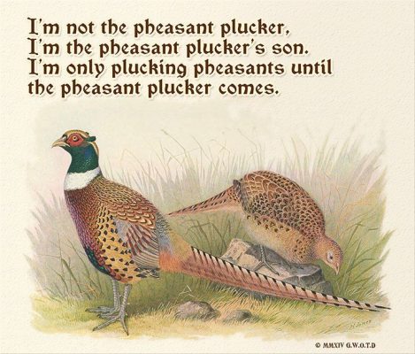 The Pheasant Plucker tongue twister - try it for yourself!